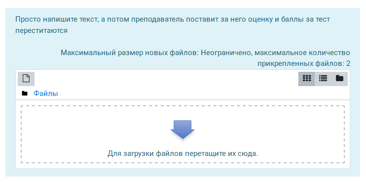 Вопрос эссе с ответом в виде файла